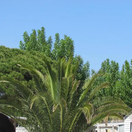 Campsite Mobilhome Pampelonne Jacobs Saint-Tropez